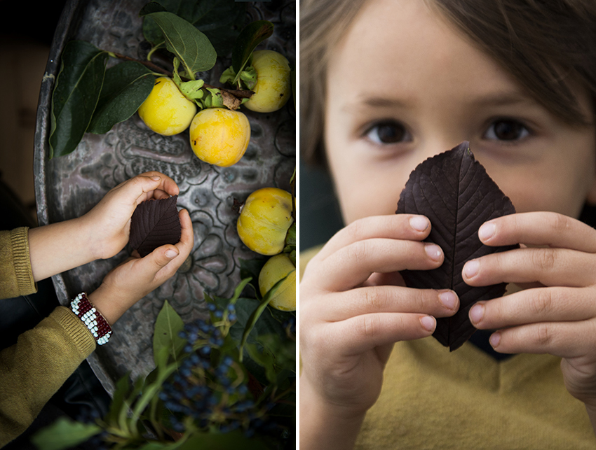 decorare una torta foglie di cioccolato