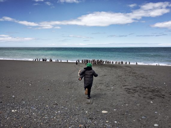 Cabo Virgenes Patagonia pinguinera