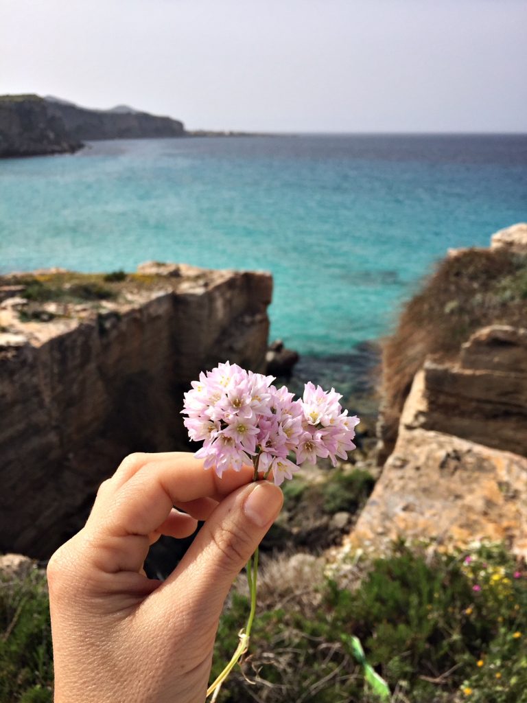 cala rossa favignana