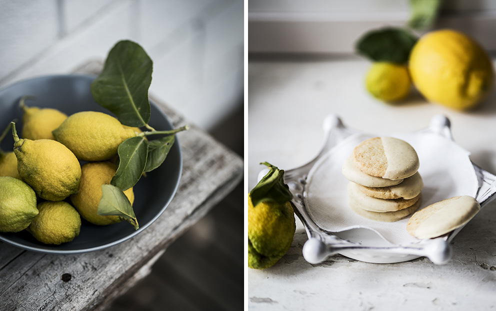 biscotti al cioccolato bianco e limone