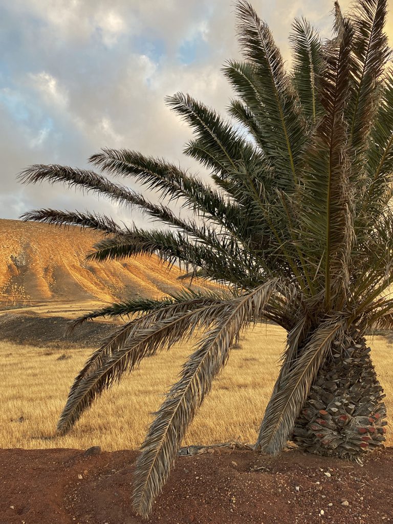 cosa vedere a Lanzarote casa saramago