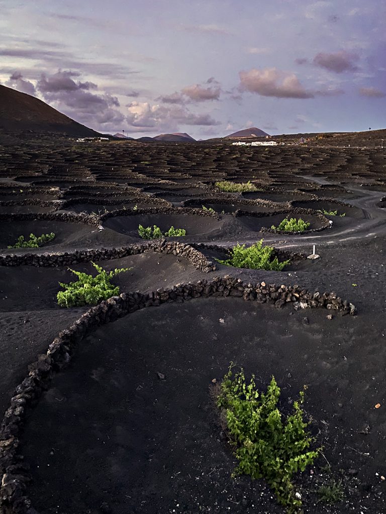 cosa vedere a Lanzarote la Geria