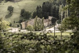 Valdicastro raccolta delle castagne