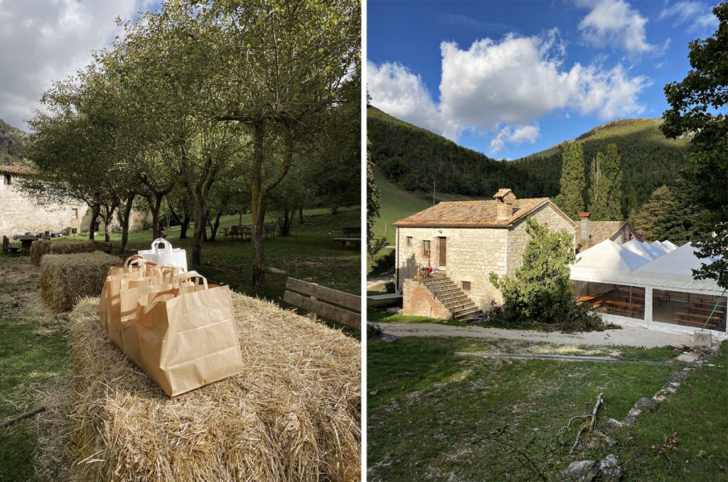 Valdicastro picnic raccolta delle castagne